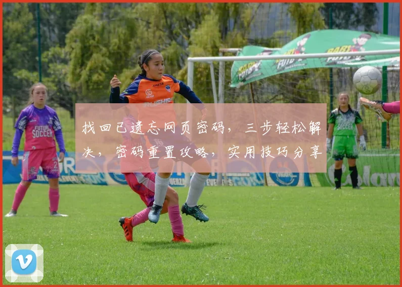 找回已遗忘网页密码，三步轻松解决，密码重置攻略，实用技巧分享