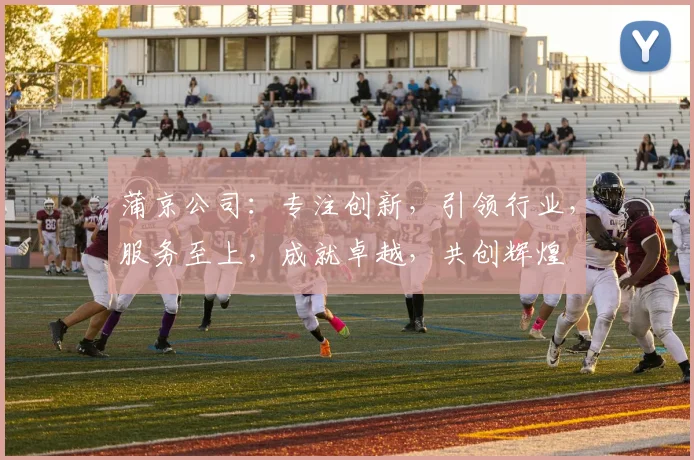 蒲京公司：专注创新，引领行业，服务至上，成就卓越，共创辉煌