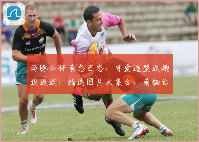 海豚公仔萌态百态，可爱造型逗趣逗逗逗，精选图片大集合，萌翻你的心