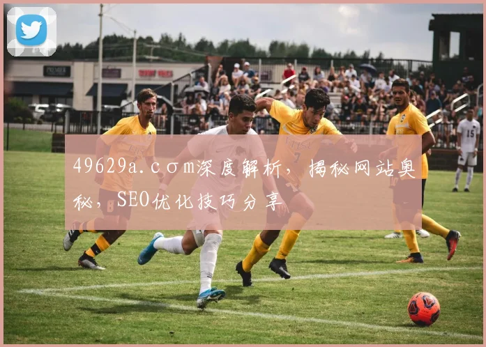 49629a.cσm深度解析，揭秘网站奥秘，SEO优化技巧分享